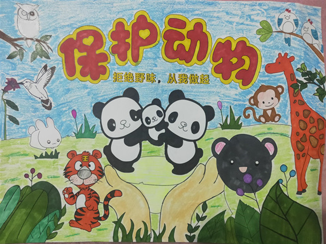 以画抗疫我们在行动蒋湾小学开展战疫童行画说动物保护野生动物绘画